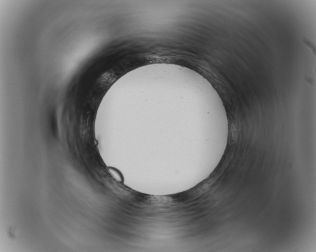 X0000103170429200809121905