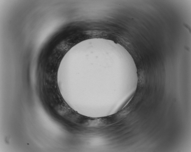 X0000103170430200809121905