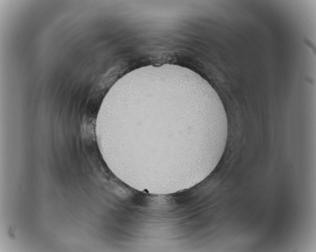 X0000103170432200809121905