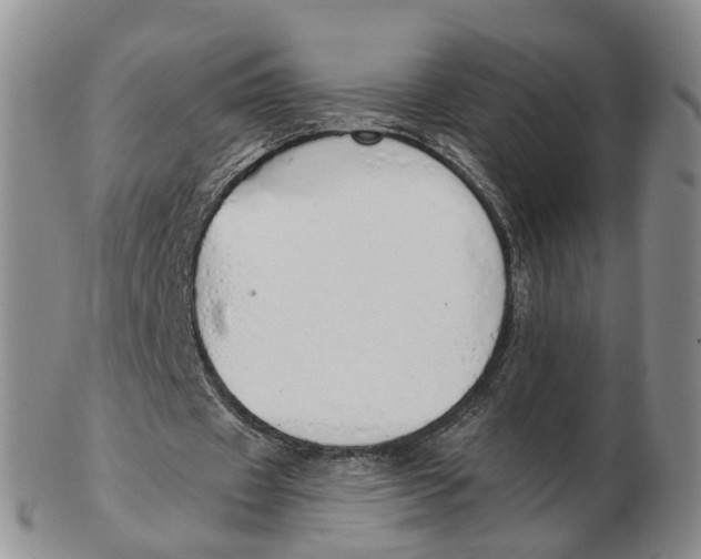 X0000103170433200809121904