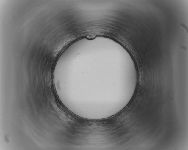 X0000103170434200809121904