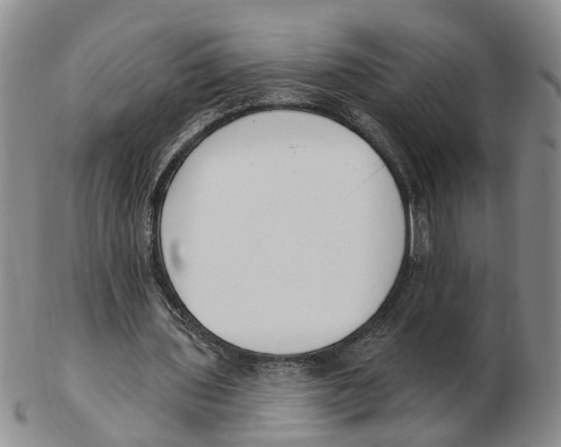 X0000103170435200809121904