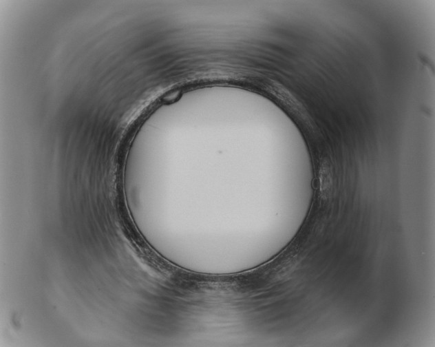 X0000103170436200809121904