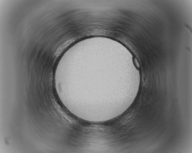 X0000103170437200809121904