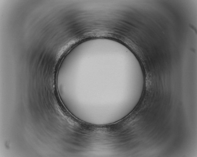 X0000103170438200809121904