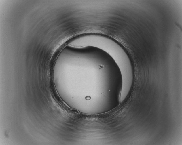 X0000103170440200809121904