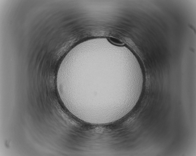 X0000103170441200809121904