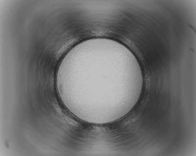 X0000103170442200809121904