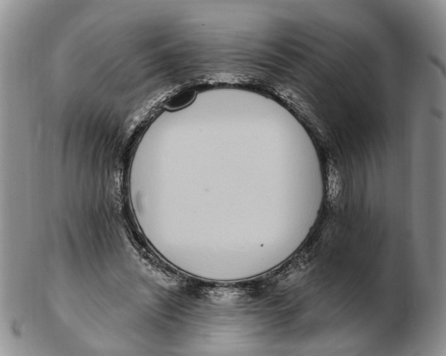 X0000103170444200809121904