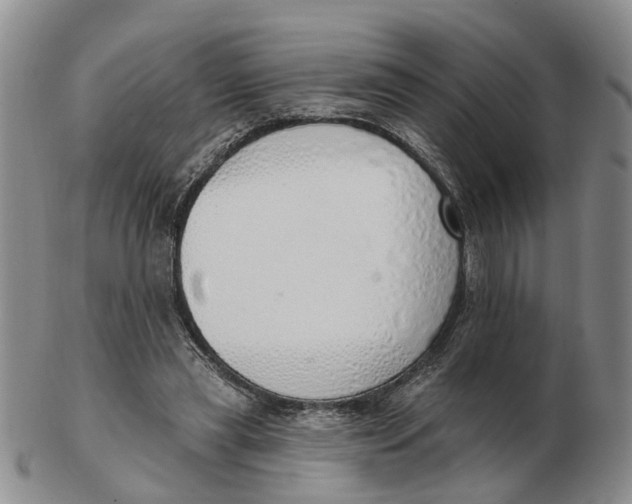 X0000103170445200809121904