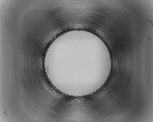 X0000103170447200809121904