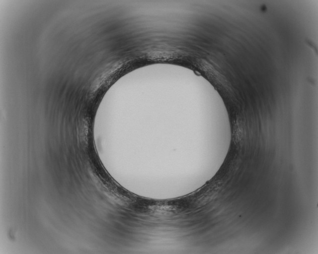 X0000103170448200809121904