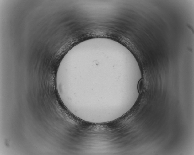 X0000103170449200809121904