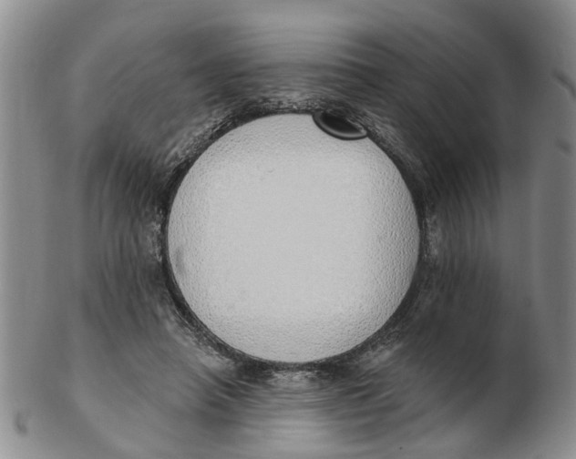 X0000103170450200809121904