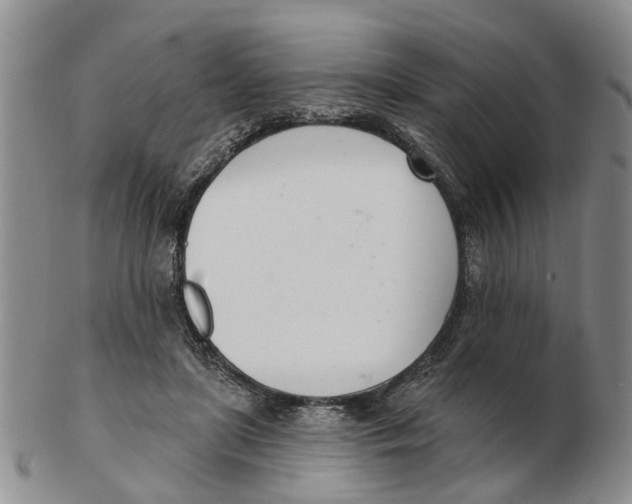 X0000103170451200809121904