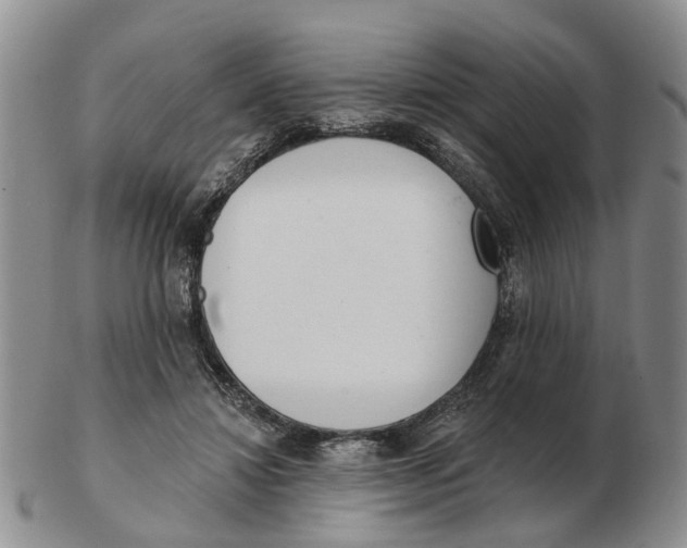 X0000103170452200809121904