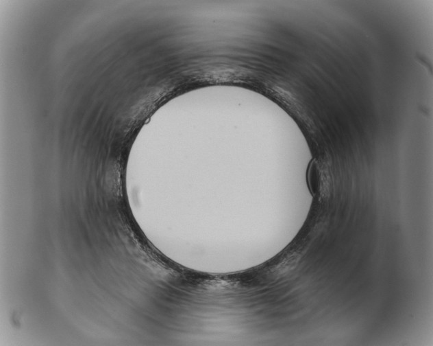 X0000103170453200809121904