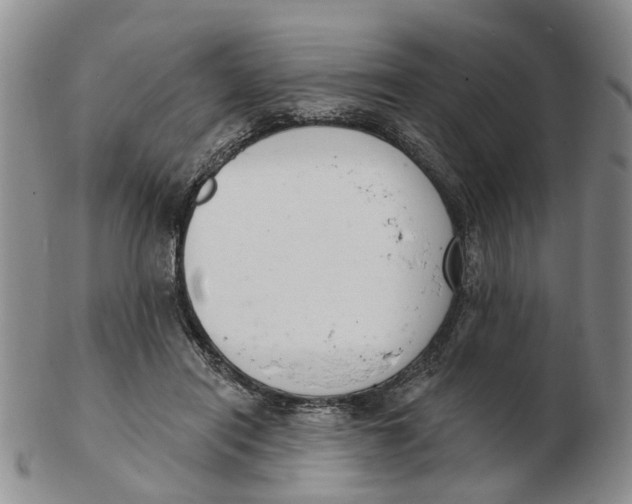 X0000103170454200809121904