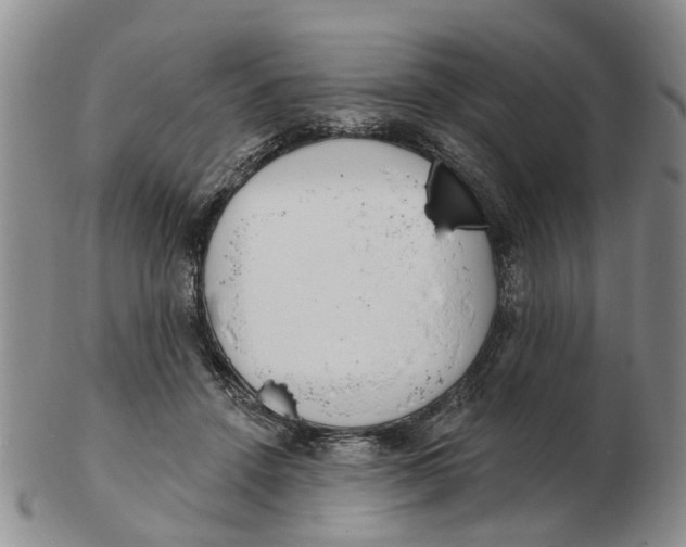 X0000103170456200809121904