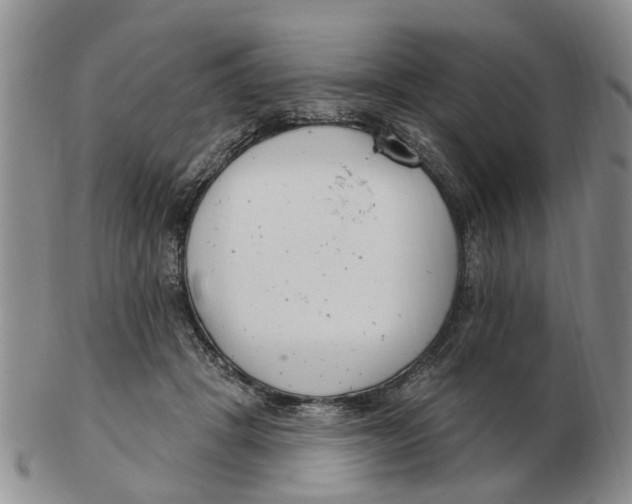 X0000103170457200809121904