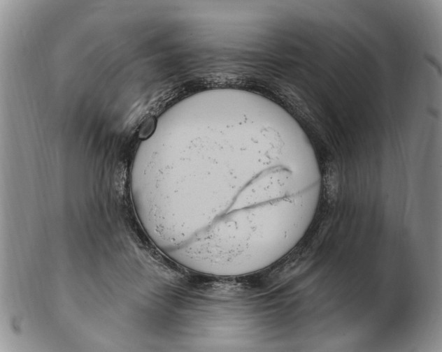 X0000103170458200809121904