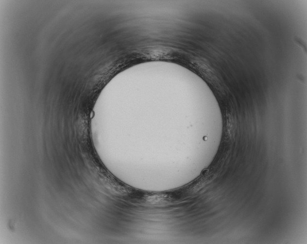 X0000103170461200809121904