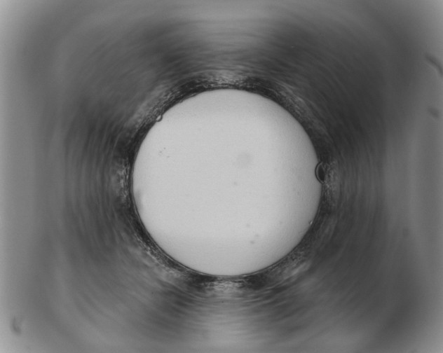 X0000103170462200809121904