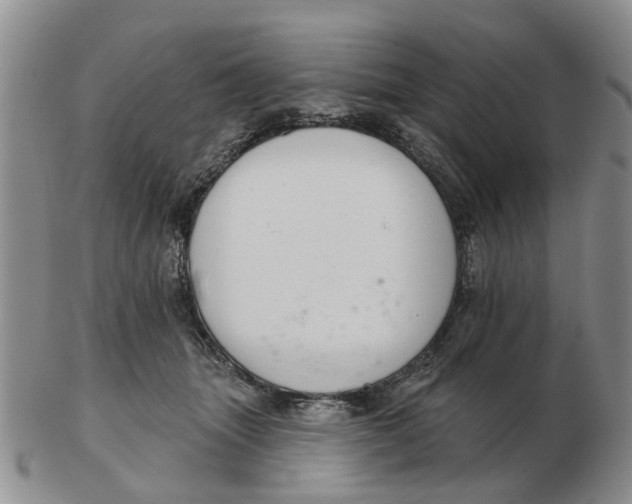 X0000103170463200809121904