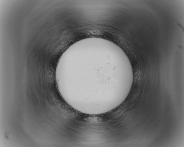 X0000103170464200809121904