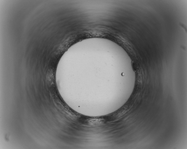 X0000103170465200809121904