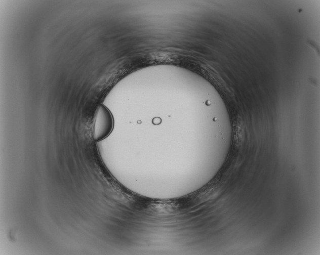 X0000103170466200809121904