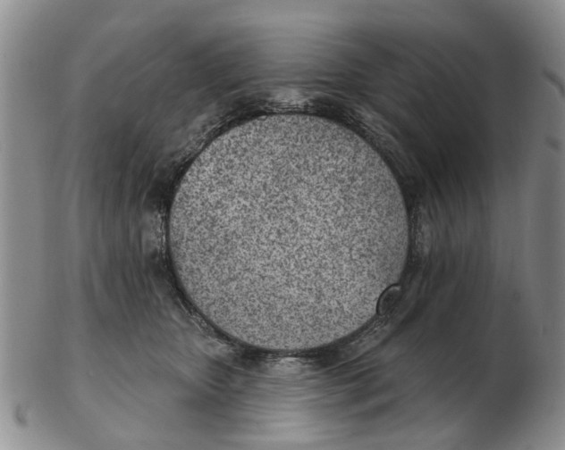 X0000103170467200809121904