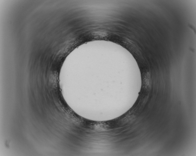 X0000103170468200809121904