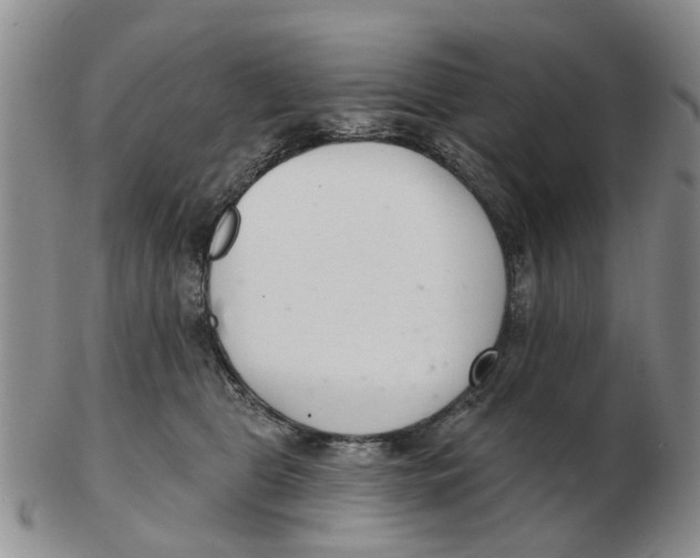 X0000103170469200809121904