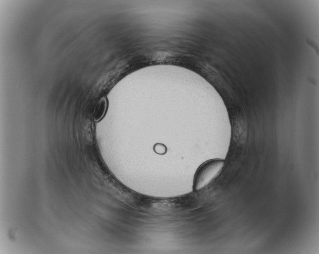 X0000103170470200809121904