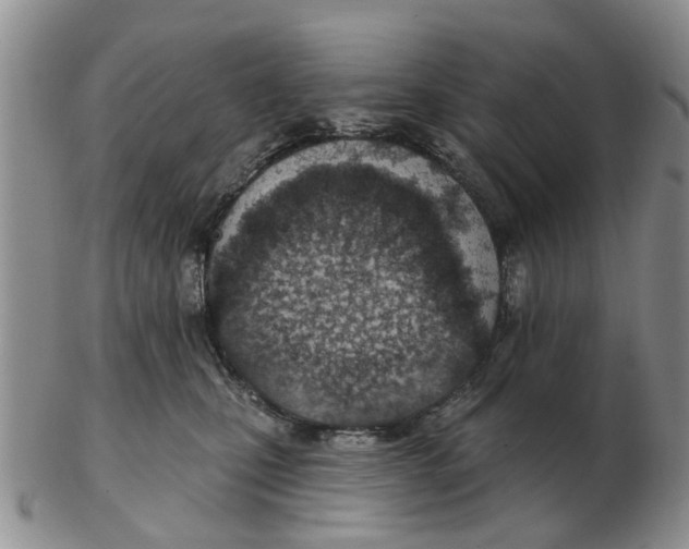 X0000103170471200809121904