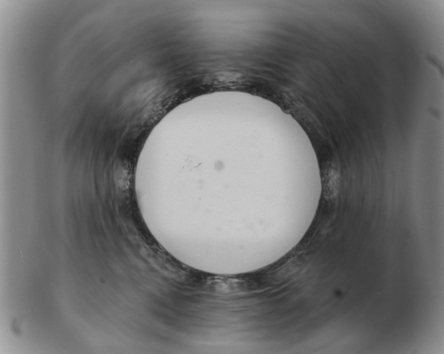 X0000103170472200809121904