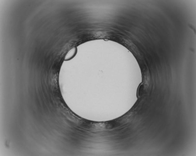 X0000103170473200809121904