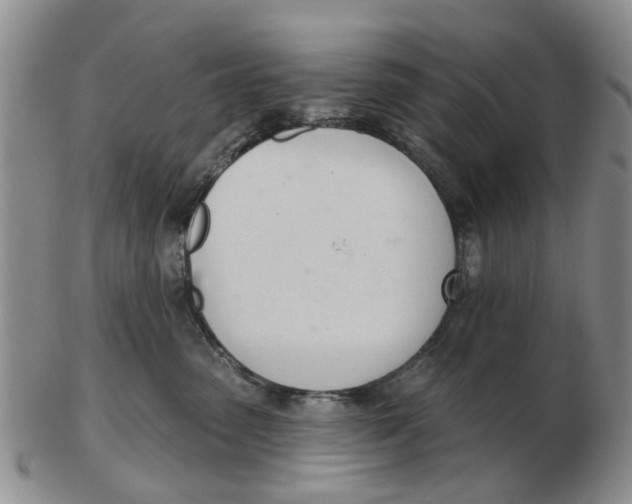 X0000103170475200809121904