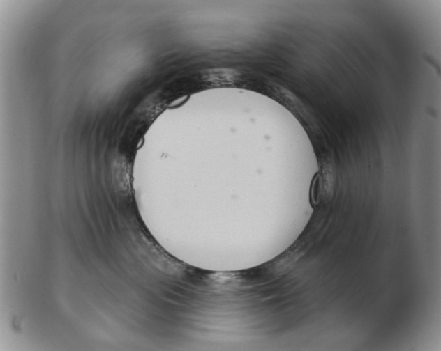 X0000103170477200809121905