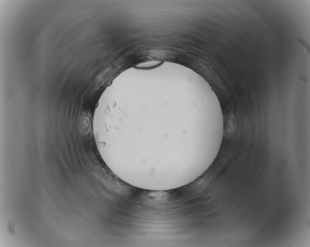 X0000103170478200809121905