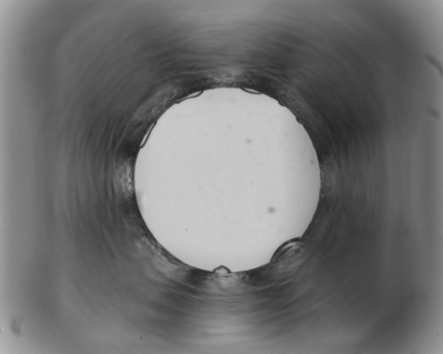 X0000103170479200809121905