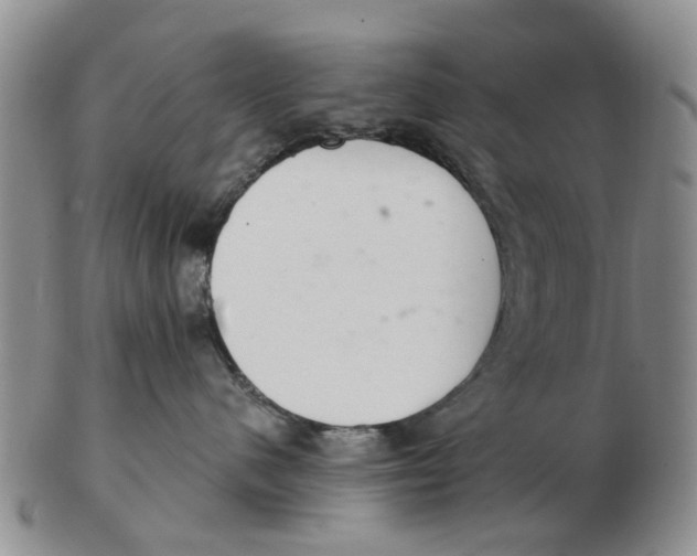 X0000103170480200809121905