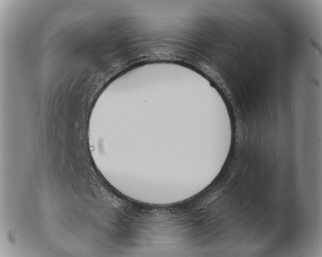 X0000103170481200809121904