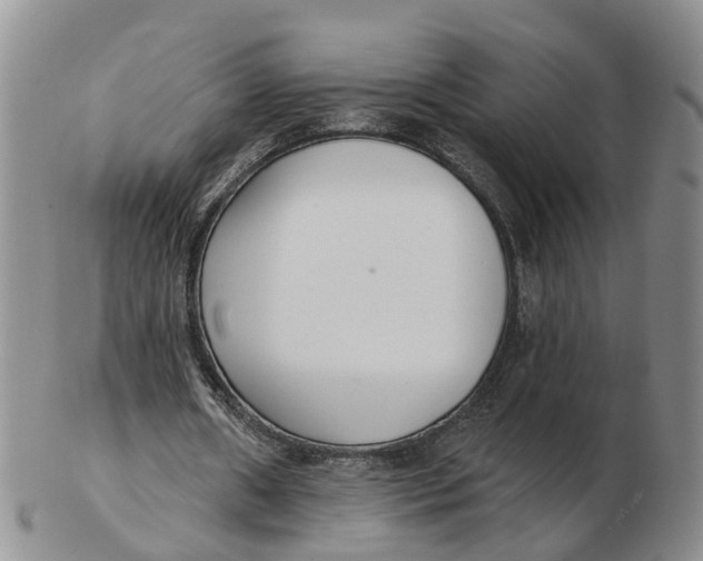 X0000103170482200809121904