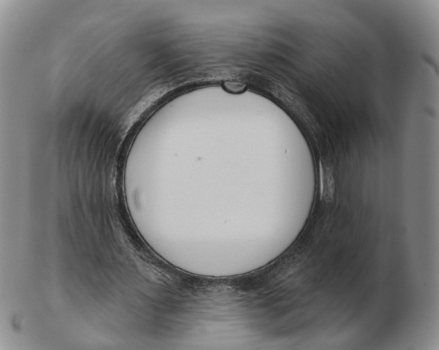 X0000103170483200809121904