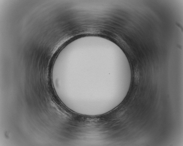 X0000103170484200809121904