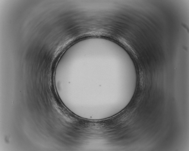 X0000103170486200809121904