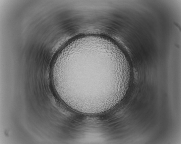 X0000103170487200809121904