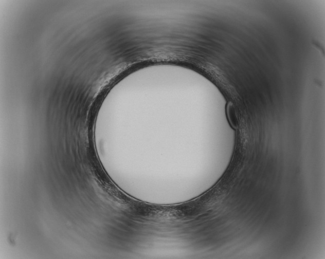 X0000103170488200809121904